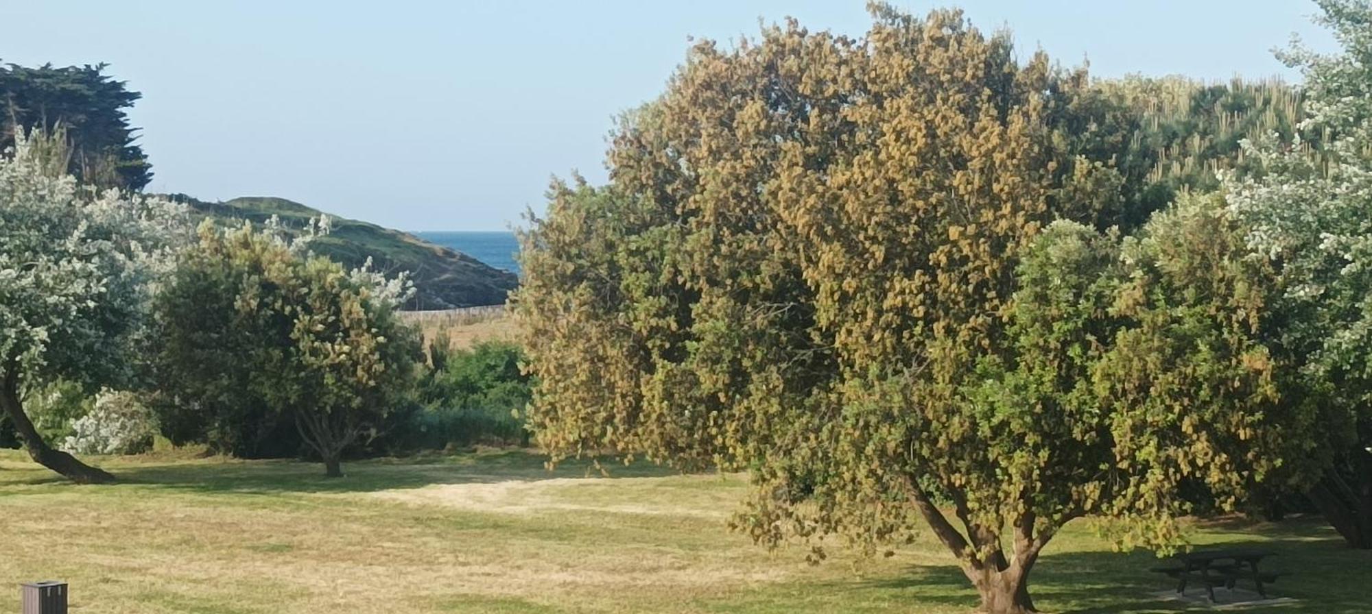 סן-ג'ילדה-דה-רוס Appartement Vue Mer Exceptionnelle A 100M Tres Belle Plage מראה חיצוני תמונה